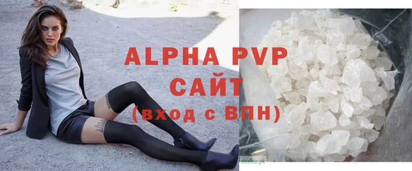 spice Богородицк