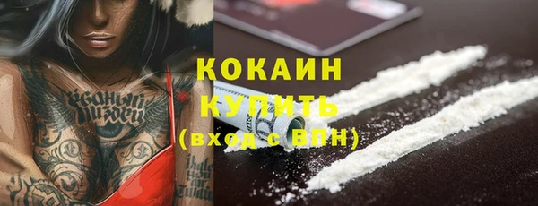 спайс Богданович